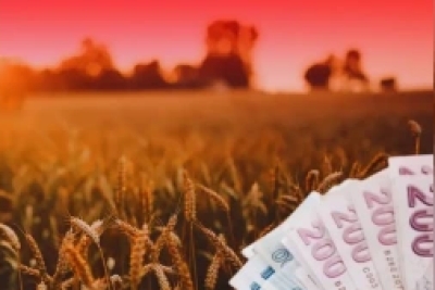 TMO üreticilere 4 milyar 257 milyon lira ürün bedeli ödedi