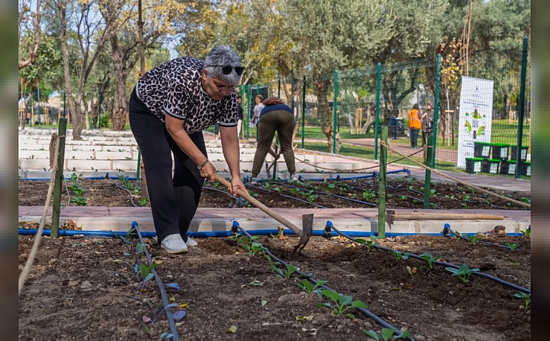 Beyin sapı kanaması geçiren Sevim Hanyalı mahalle bostanında üretiyor