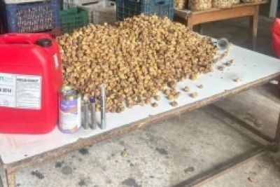 İzmir'de lavabo açıcı ile beyazlatılmış 3 ton incir ele geçirildi