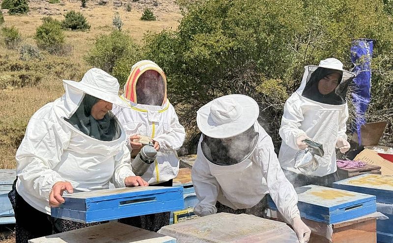 Yahyalı’da kadın girişimcilerden tatlı başarı: 5 kovanla başladılar, 3 ton bal ürettiler!