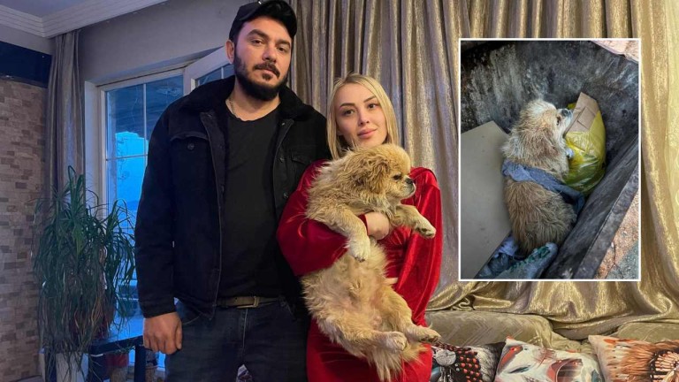 Vicdansızlık Çukurunda Dip Noktası: Ayakları Bağlı Köpeği Çöp Konteynerine Attılar!