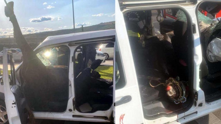 Gaziantep'te Yola Aniden Fırlayan Başıboş At Polis Aracına Çarptı