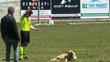 Konya'da Hakem Sahaya Giren Köpeğe Kırmızı Kart Gösterdi ve Maçın Kaderini Değiştirdi! İşte O Anlar