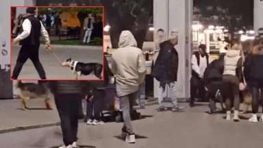 Bakırköy'de Tehlike Saçan Pitbull Vakası: Sahibine 76 Bin TL Ceza Verildi!