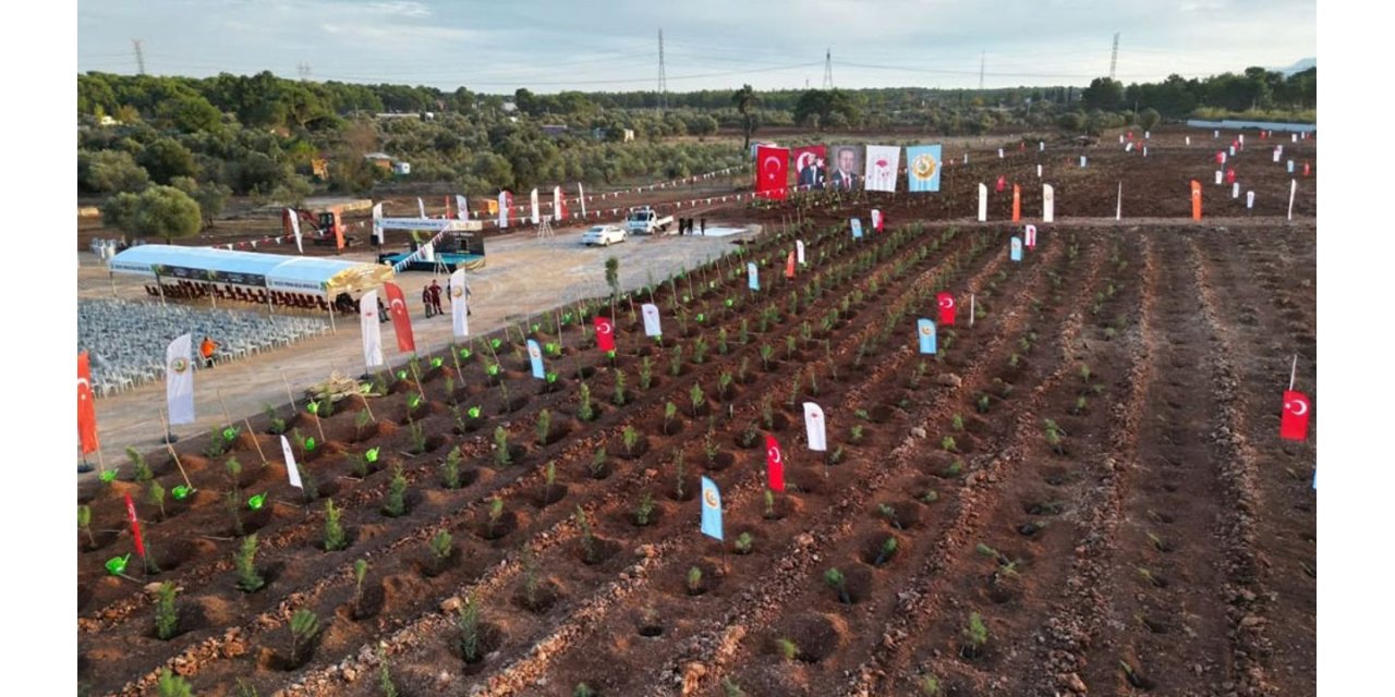 Antalya Yeşil Vatan İçin Birleşiyor: 11 Kasım'da Fidanlar Toprakla Buluşacak