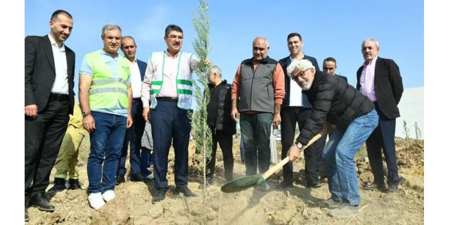 Batman OSB'den Yeşil Hamle: 10 Dönüm Alana 150 Çam Fidanı Dikildi