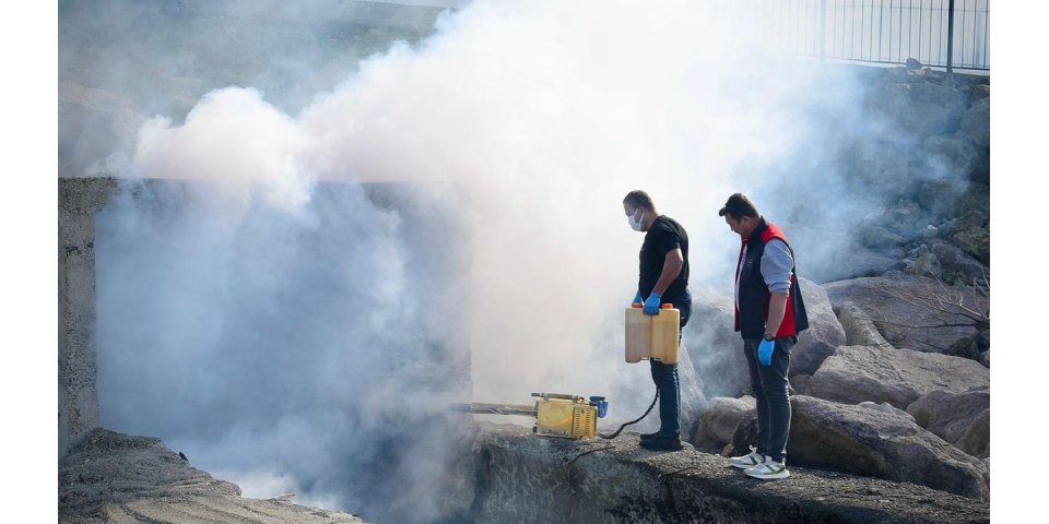 Giresun'da Haşere Alarmı: Belediyeden Yoğun İlaçlama Seferberliği