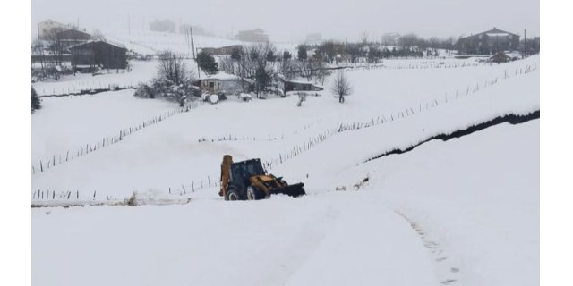 Ordu’da Yoğun Kar Yağışı Ulaşımı Zorluyor, Ekipler Seferber Oldu