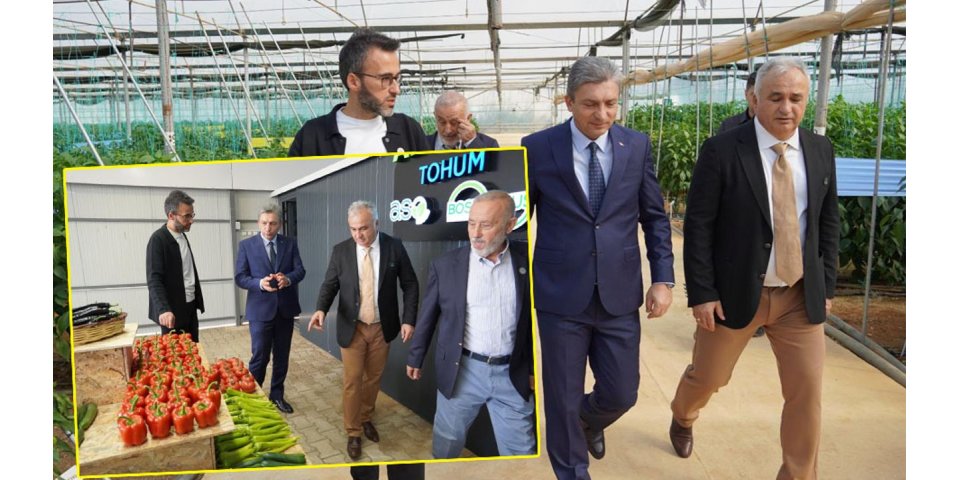 Antalya’da Yerli Tohumda İhracat Atağı: ANAMAS Tarımda Güçleniyor