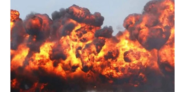 Japonya’da 49 bin metrekarelik alanda çıkan orman yangını bir kişiyi kaybettirdi