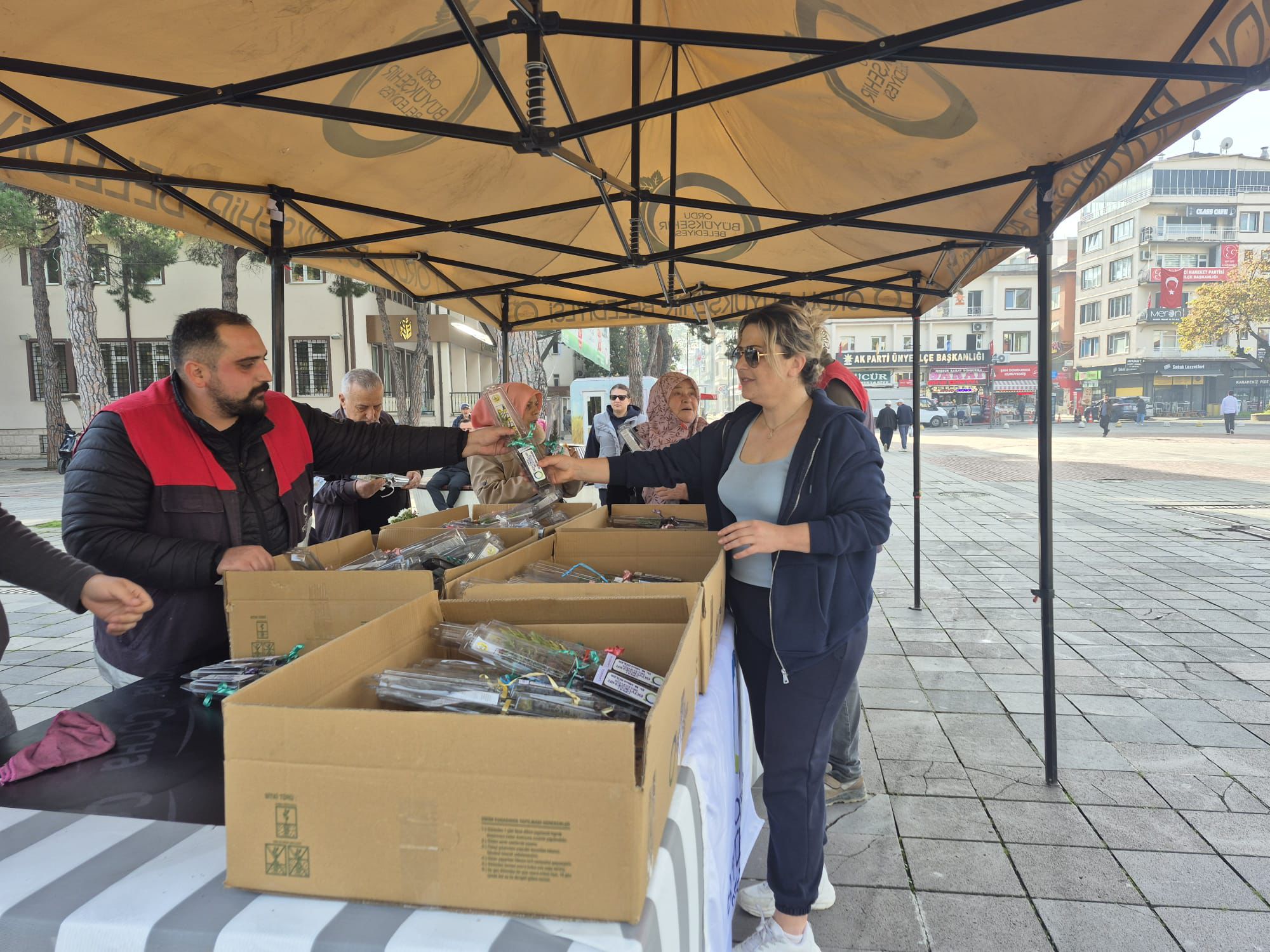 Ordu’da Binlerce Fidan Toprakla Buluştu: Yeşil Gelecek İçin Büyük Adım