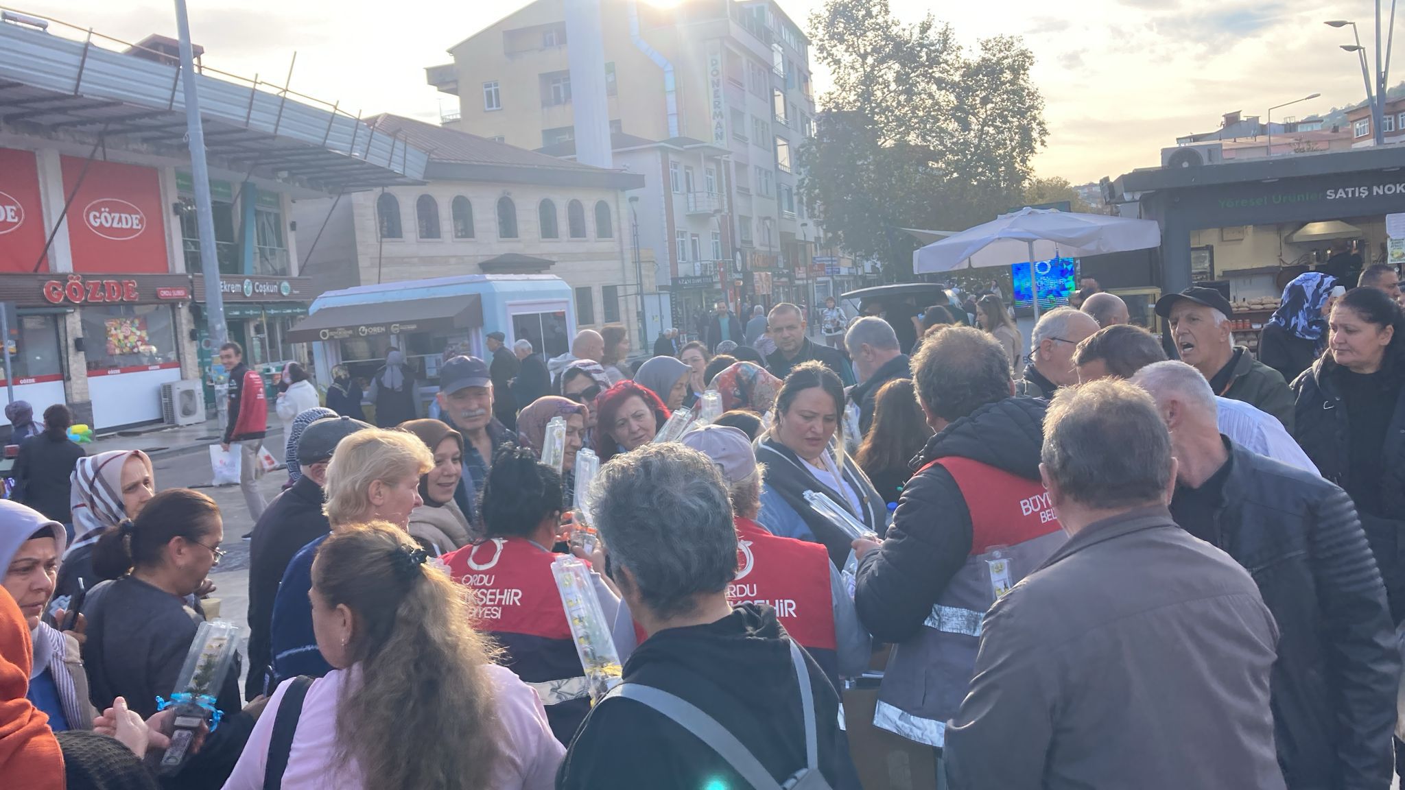 Ordu’da Binlerce Fidan Toprakla Buluştu: Yeşil Gelecek İçin Büyük Adım