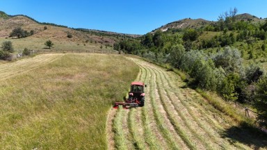 Türkiye tarımda dünya lideri: 7 üründe rekor üretimle zirvede yer aldı