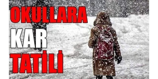 Kars'ta Kar Esareti: Okullar Tatil, Kamu Çalışanlarına İzin!