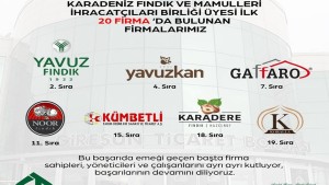 Giresun 2025 Fındık İhracat Şampiyonları: İlk 20'de 7 Giresunlu Firma