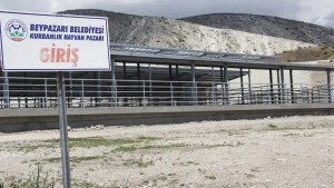 Beypazarı Hayvan Pazarı Şap Hastalığı Sonrası Kurban Öncesi Açılıyor