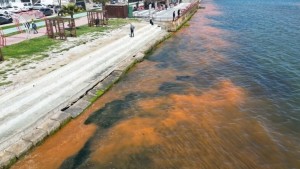 Tekirdağ sahillerinde alg patlaması: Renk değişimi uzmanlarca açıklandı