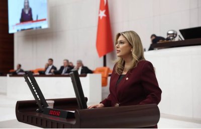 Giresun'daki HES Projeleri ve Ekosisteme Etkileri