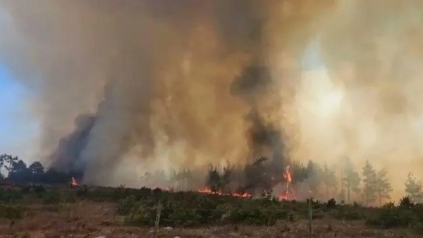 Kahramanmaraş'ta orman yangını: Ekipler seferber oldu
