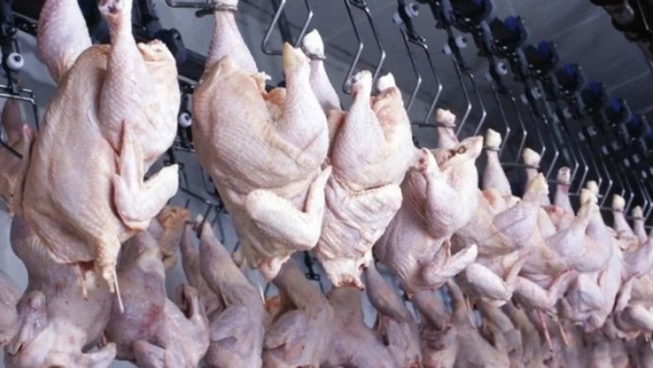 Beyaz Et Sektöründe Denetim Kayyımı Kararları Güncellendi