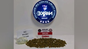 Yalova’da 335 gram uyuşturucu ele geçirildi, 2 şüpheliden biri tutuklandı
