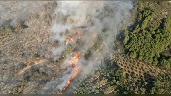 Meteoroloji Antalya için 40 derece sıcaklık ve yüzde 10-20 nemle orman yangını uyarısı yaptı