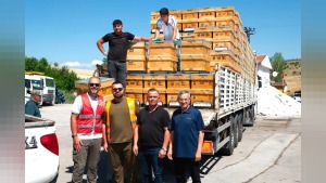 Güdül'de 28 arıcıya yüzde 50 hibeli 232 arı kovanı desteği verildi