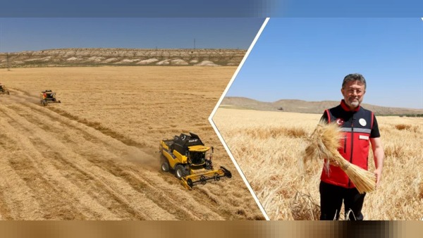 2026 arpa hasadında rekor ve baraj doluluğu: Yumaklı %81 dedi