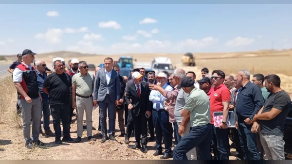 Delice Çerikli’de buğday hasadı programına Vali Sarıibrahim katıldı