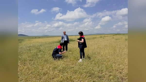 Kars’ta fırtına ve dolu sonrası hasar tespiti başladı