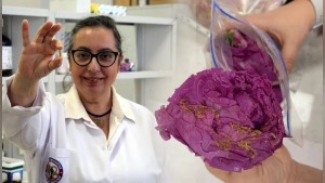 Isparta güllerinden yutulabilir parfüm: Trakya Üniversitesi'nde yeni kapsül yöntemi