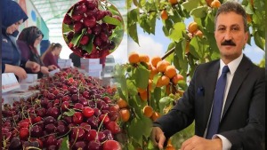 Batı Akdeniz’de haziranda 80,5 milyon dolarlık yaş sebze ihracatı