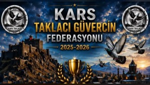 Kars Taklacı Güvercin Festivali 2026’da dereceye girenler belli olmaya başladı
