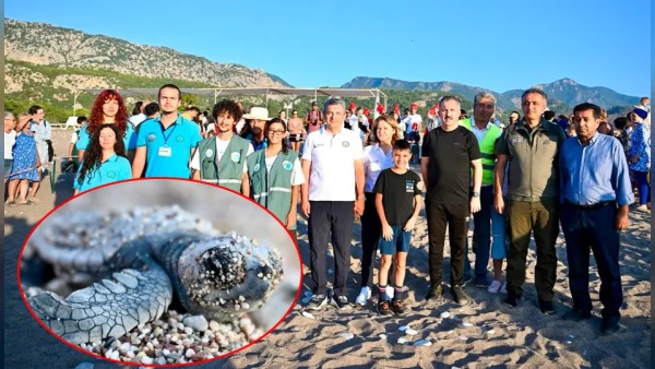 Çıralı’da caretta caretta yavruları 26 yıldır süren koruma ile denizle buluştu