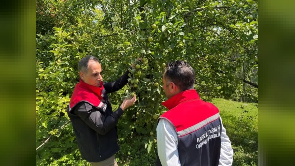 Kars’ta İl Müdürü Aydın’dan meyve bahçeleri ziyareti: 5 kritik nokta