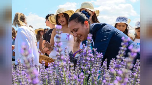 2. Lavanta Hasat ve Sanat Günleri Lavantepe’de sona erdi