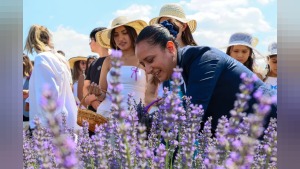2. Lavanta Hasat ve Sanat Günleri Lavantepe’de sona erdi