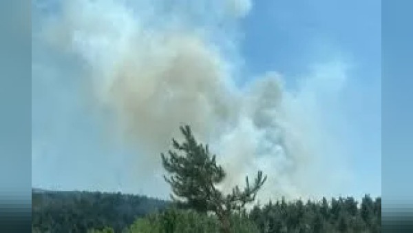 Balıkesir ve Bolu’da orman yangınlarına müdahale sürüyor