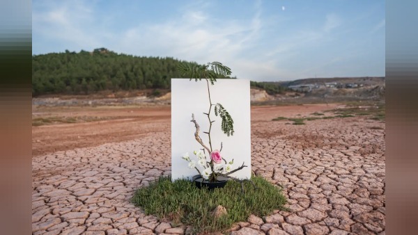 Üniversitelerden COP31’e akademik ilgi: 3 bin 373 başvuru