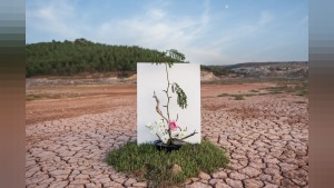 Üniversitelerden COP31’e akademik ilgi: 3 bin 373 başvuru