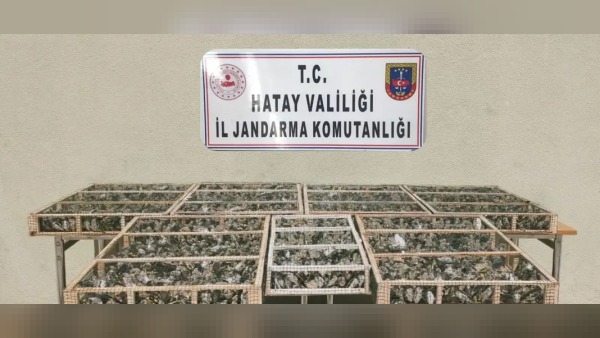 15 Temmuz sergisinin açılışı Kars’ta Vali Ziya Polat tarafından yapıldı