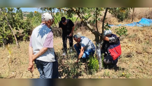 Balıkesir’de tarla faresi uyarısı: üreticiler kontrol ve doğru zamanda mücadeleye çağrıldı