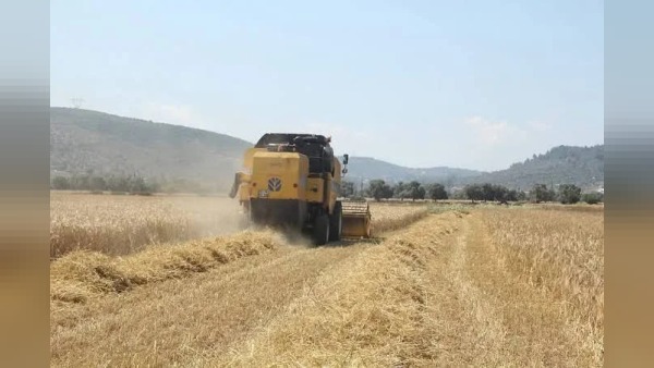 Çiftçilerin hesaplarına tarımsal destekleme ödemeleri aktarılacak