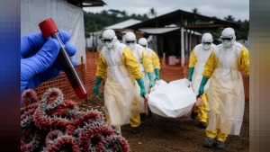 Ituri’de Ebola sürüyor: vaka-ölüm oranı %47, ithal vakalar bildirildi