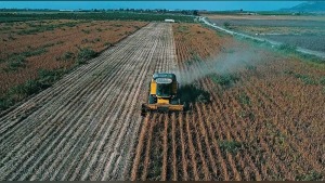 Tarım ve Orman Bakanlığı 195,6 milyon lira tarımsal destek ödemesi yapacak