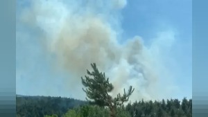 Bursa’da 3 noktada çıkan orman yangınında 08.30 alarm verildi: ekipler sevk edildi
