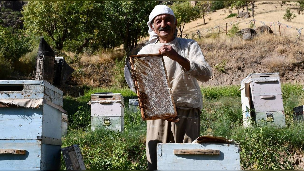 Dolar/TL 48,11’de, euro 56,19’da: Altın 7045,39 ve BIST 100 13.821,97