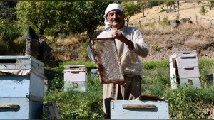Dolar/TL 48,11’de, euro 56,19’da: Altın 7045,39 ve BIST 100 13.821,97