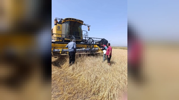 Kars’ta biçerdöver denetimleri sıklaştırıldı: dane kaybı hedefi