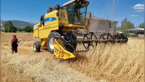 Burdur’da hasatta yüz güldüren sonuç: çiftçinin yeni gözdesi gündemde